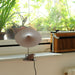 Ile Table Lamp - DWHOME