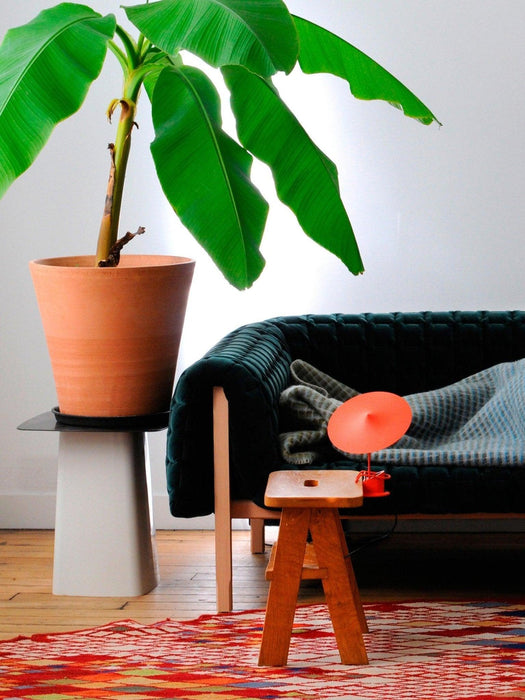 Ile Table Lamp - DWHOME