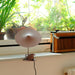 Ile Table Lamp - DWHOME