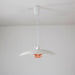 JL 341 Pendant Light-DWHOME