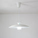 JL 341 Pendant Light-DWHOME