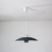 JL 341 Pendant Light-DWHOME
