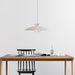JL 341 Pendant Light-DWHOME