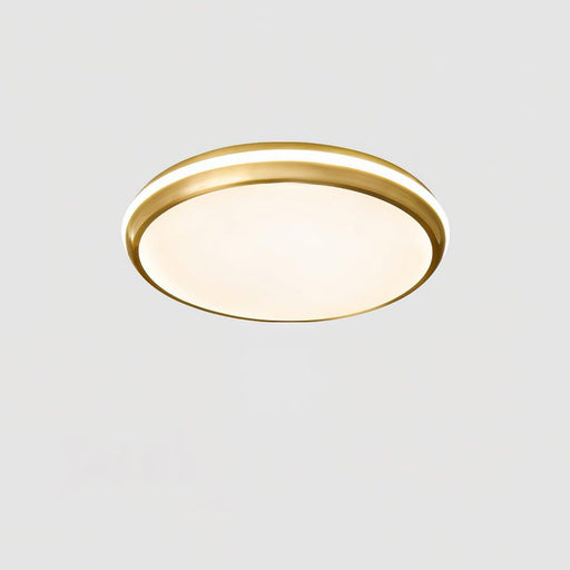 Jameson Ceiling Light-DWHOME