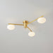 Jasper Ceiling Lamp-DWHOME