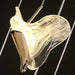 Juli Art Deco Stairwell Led Chandelier - DWHOME