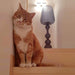 Kabuki Floor Lamp-DWHOME
