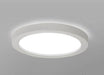 Karoline Black and White Monochrome Palette Shaped Ceiling Light - DWHOME