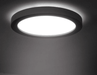 Karoline Black and White Monochrome Palette Shaped Ceiling Light - DWHOME