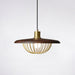 Kasa Pendant Lamp - DWHOME