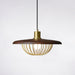 Kasa Pendant Lamp - DWHOME
