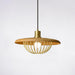 Kasa Pendant Lamp - DWHOME