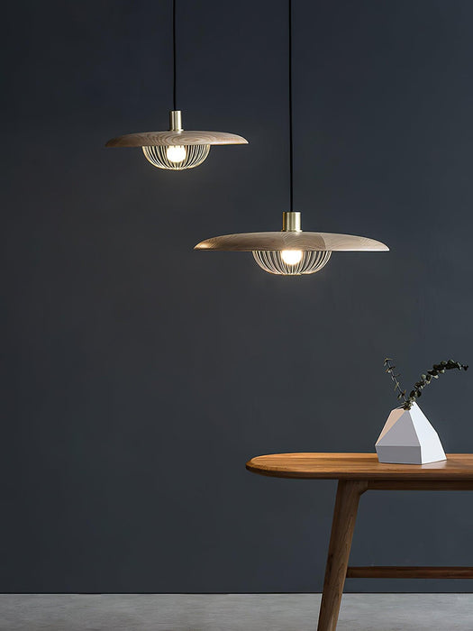 Kasa Pendant Lamp - DWHOME