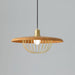 Kasa Pendant Lamp - DWHOME