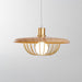 Kasa Pendant Lamp - DWHOME