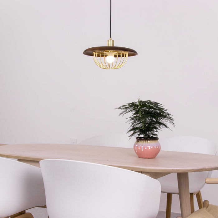 Kasa Pendant Lamp - DWHOME