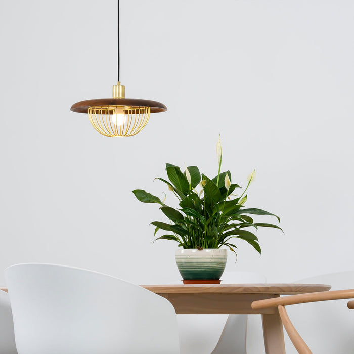 Kasa Pendant Lamp - DWHOME