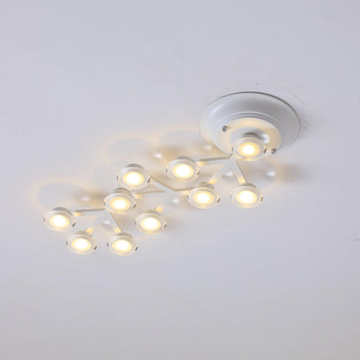 LED Net Ceiling Lamp-DWHOME