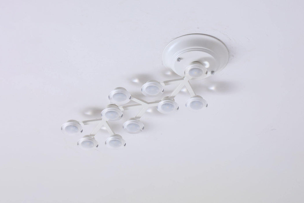 LED Net Ceiling Lamp-DWHOME