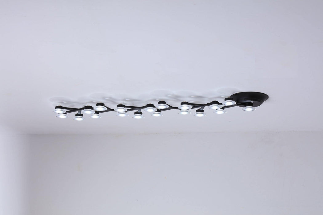 LED Net Ceiling Lamp-DWHOME