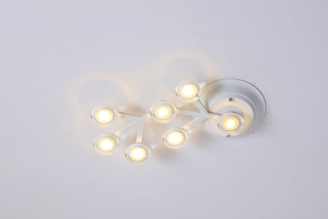 LED Net Ceiling Lamp-DWHOME
