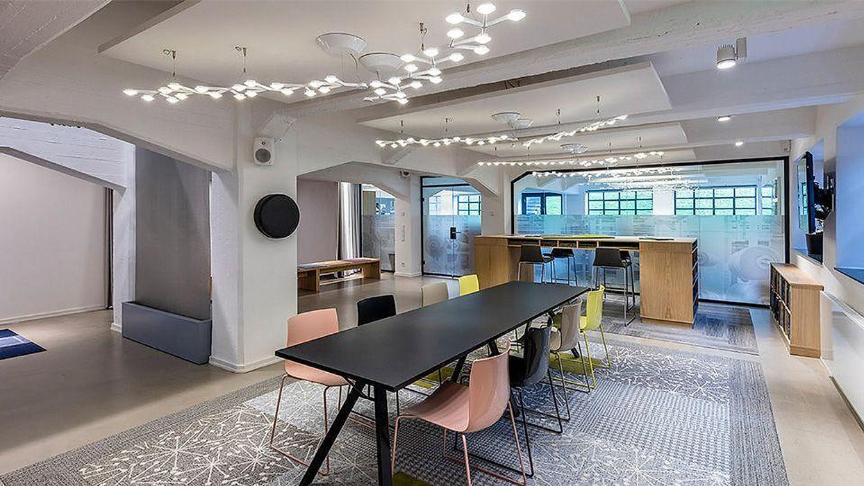 LED Net Ceiling Lamp-DWHOME