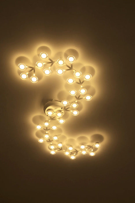 LED Net Ceiling Lamp-DWHOME