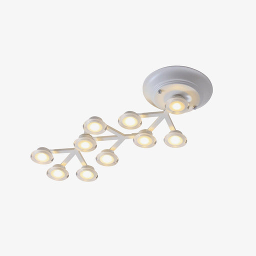 LED Net Ceiling Lamp-DWHOME