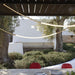 Leda Chandelier-DWHOME