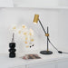 Lektor Table Lamp-DWHOME