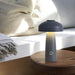 Leon Mushroom Built-in Battery Table Lamp - DWHOME