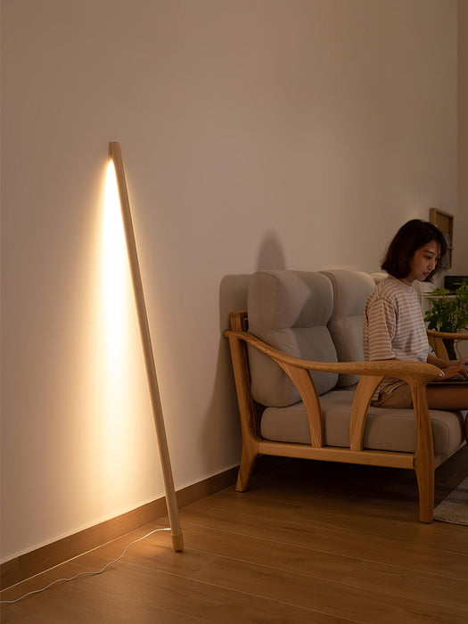 Line Assist Ambience Floor Lamp-DWHOME