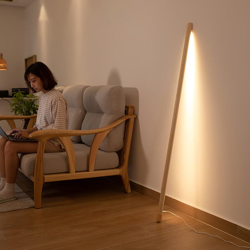 Line Assist Ambience Floor Lamp - DWHOME