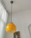 Loa Pendant Light-DWHOME