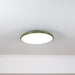 Lola Adjustable Ceiling Lamp - DWHOME