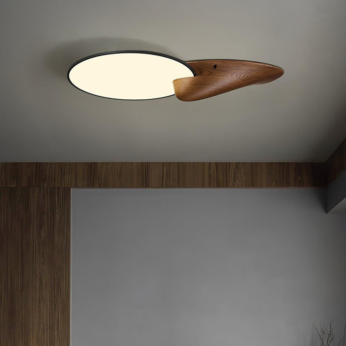Lone Peak Ceiling Lamp-DWHOME