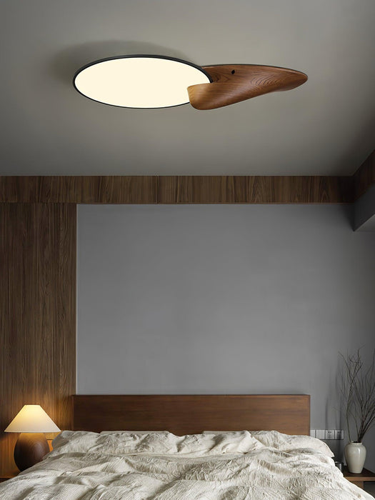 Lone Peak Ceiling Lamp-DWHOME