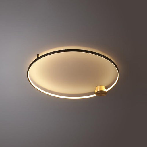 Loop LED Ceiling Light-DWHOME