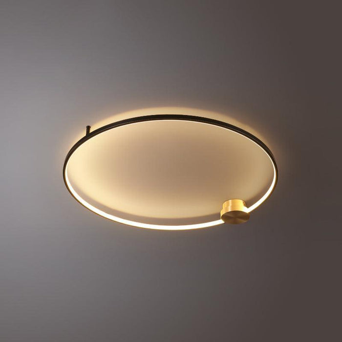Loop LED Ceiling Light-DWHOME