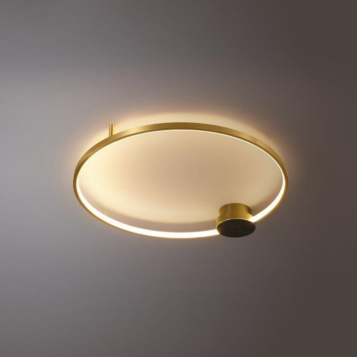 Loop LED Ceiling Light-DWHOME