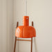 "Lumina Petal Glass Pendant Light-DWHOME"