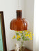 "Lumina Petal Glass Pendant Light-DWHOME"