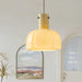"Lumina Petal Glass Pendant Light-DWHOME"