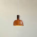 "Lumina Petal Glass Pendant Light-DWHOME"