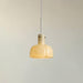"Lumina Petal Glass Pendant Light-DWHOME"