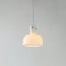 "Lumina Petal Glass Pendant Light-DWHOME"