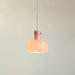 "Lumina Petal Glass Pendant Light-DWHOME"
