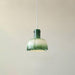 "Lumina Petal Glass Pendant Light-DWHOME"