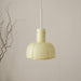 "Lumina Petal Glass Pendant Light-DWHOME"