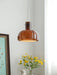 "Lumina Petal Glass Pendant Light-DWHOME"